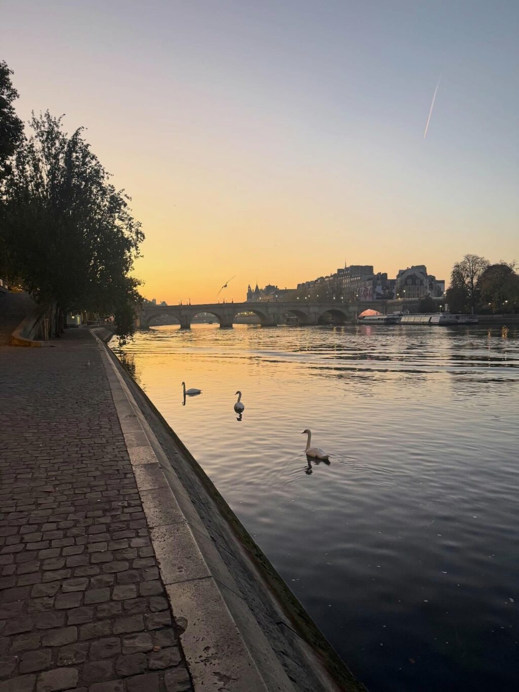 Instagram post from victoriamouvement. This post is in position 6.