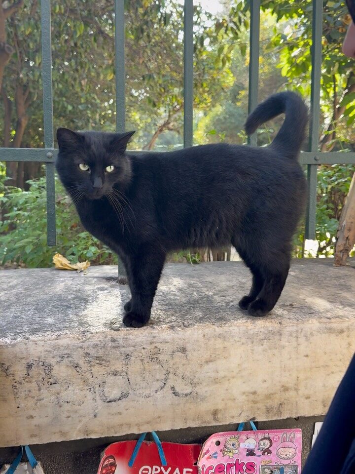 Instagram post from victoriamouvement. This post is in position 10.