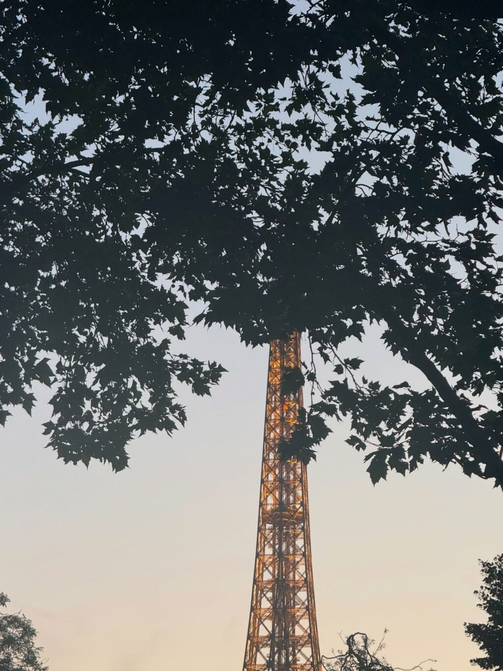 Instagram post from victoriamouvement. This post is in position 7.