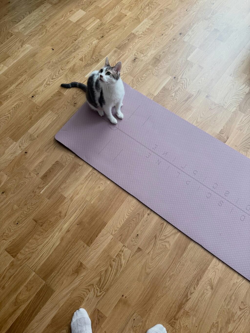 Instagram post from victoriamouvement. This post is in position 4.