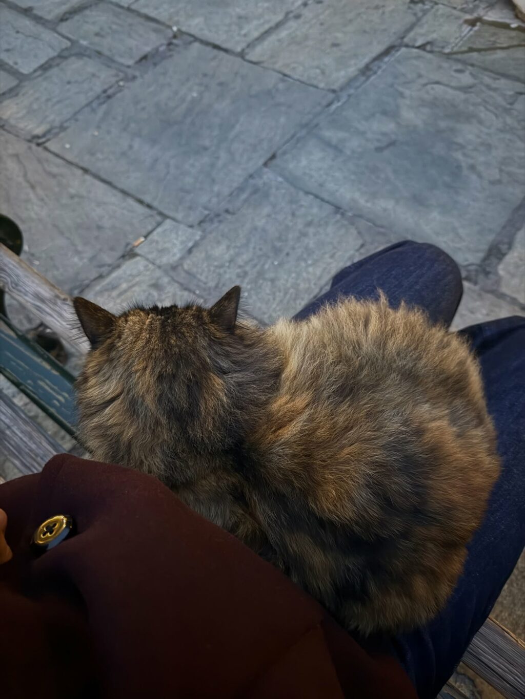 Instagram post from victoriamouvement. This post is in position 2.