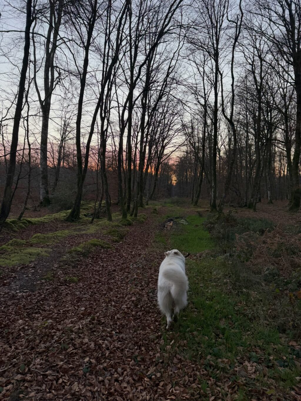 Instagram post from victoriamouvement. This post is in position 9.